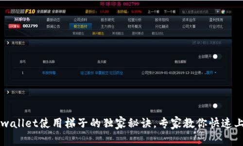 tpwallet使用梯子的独家秘诀，专家教你快速上手