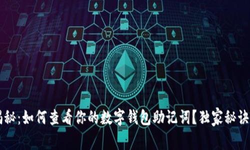 专家揭秘：如何查看你的数字钱包助记词？独家秘诀大公开