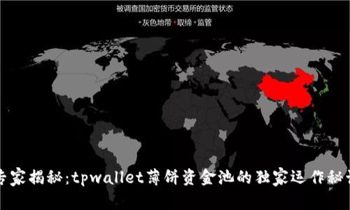 专家揭秘：tpwallet薄饼资金池的独家运作秘诀