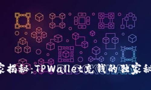 专家揭秘：TPWallet充钱的独家秘诀！