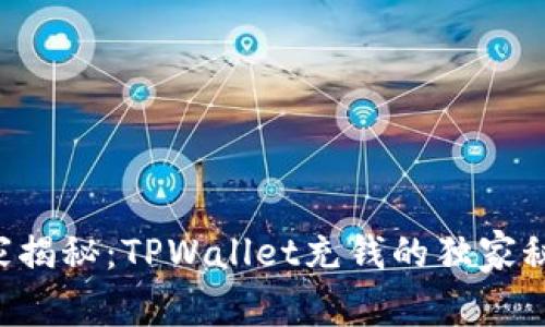 专家揭秘：TPWallet充钱的独家秘诀！