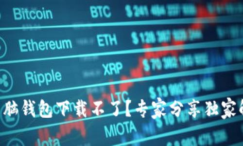 区块链电脑钱包下载不了？专家分享独家解决秘诀！