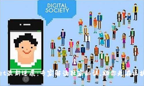 TPWallet最新进展：专家解读独家秘诀，助你走在区块链前沿