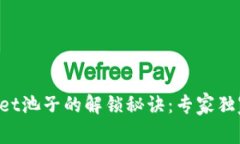 TPWallet池子的解锁秘诀：专家独家分享！