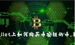 专家揭秘：TPWallet上如何购买币安链的币，独家秘