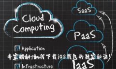 专家揭秘：如何下载iOS钱包的独家秘诀!