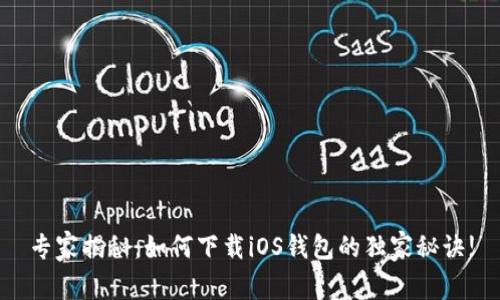 专家揭秘：如何下载iOS钱包的独家秘诀!