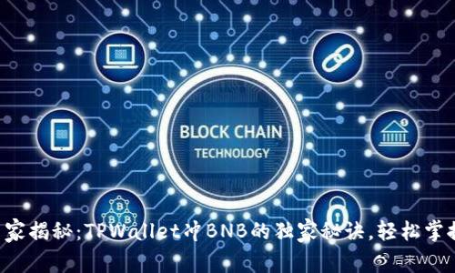 专家揭秘：TPWallet冲BNB的独家秘诀，轻松掌握！