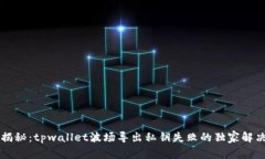专家揭秘：tpwallet波场导出私钥失败的独家解决秘
