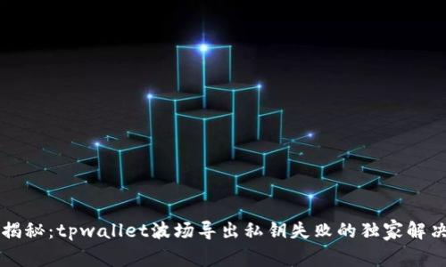 专家揭秘：tpwallet波场导出私钥失败的独家解决秘诀