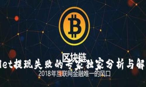 TPWallet提现失败的专家独家分析与解决秘诀