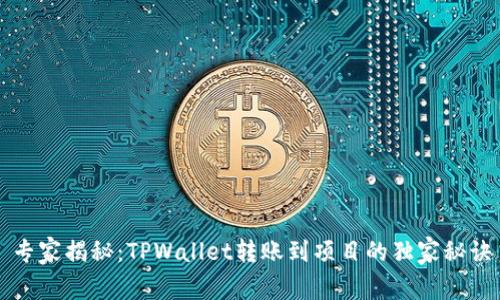 专家揭秘：TPWallet转账到项目的独家秘诀