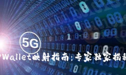TPWallet映射指南：专家独家揭秘！