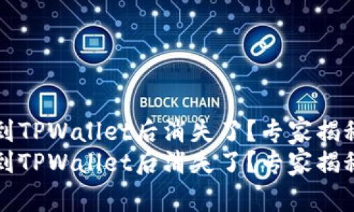 货币转账到TPWallet后消失了？专家揭秘解决秘诀
货币转账到TPWallet后消失了？专家揭秘解决秘诀