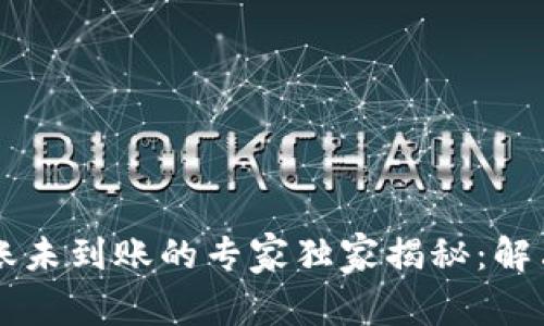 TPWallet跨链转账未到账的专家独家揭秘：解决方案和注意事项