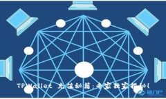 TPWallet 充值秘籍：专家独家揭秘！