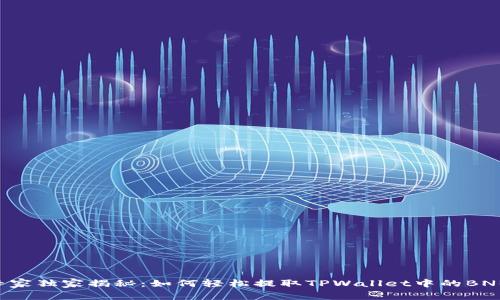 专家独家揭秘：如何轻松提取TPWallet中的BNB！