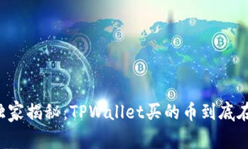 专家独家揭秘：TPWallet买的币到底在哪里？