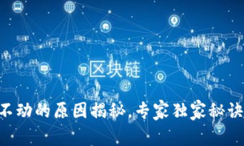 TPWallet购买代币不动的原因揭秘，专家独家秘诀助你解锁交易活力！