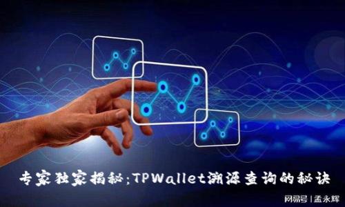 专家独家揭秘：TPWallet溯源查询的秘诀