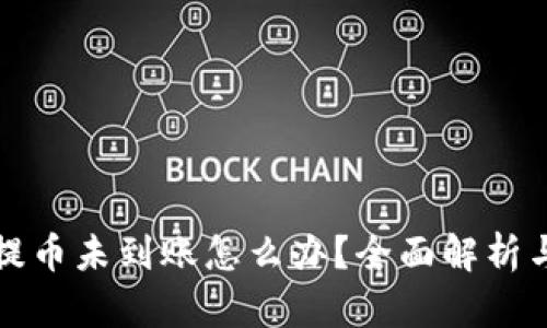 tpwallet提币未到账怎么办？全面解析与解决方案