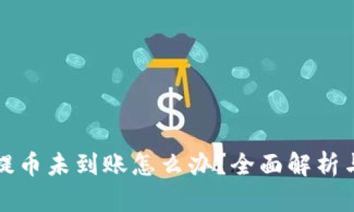 tpwallet提币未到账怎么办？全面解析与解决方案