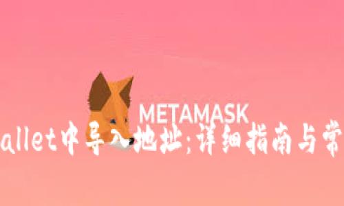 如何在TPWallet中导入地址：详细指南与常见问题解答