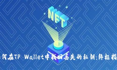 如何在TP Wallet中找回丢失的私钥：终极指南