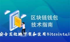 如何安全高效地下载和使用Bitcointalk论坛