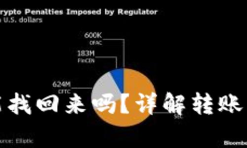 tpwallet转错账能找回来吗？详解转账误操作的解决方案