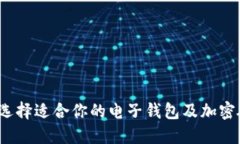 如何选择适合你的电子钱包及加密硬盘？