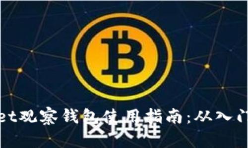 TPWallet观察钱包使用指南：从入门到精通