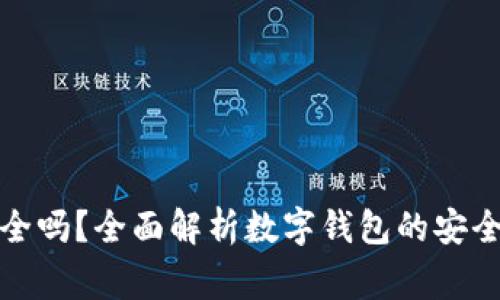 数字钱包手机版安全吗？全面解析数字钱包的安全性及使用注意事项