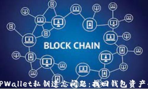 
如何处理TPWallet私钥遗忘问题：找回钱包资产的完整指南