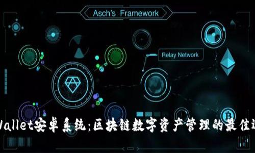 TPWallet安卓系统：区块链数字资产管理的最佳选择