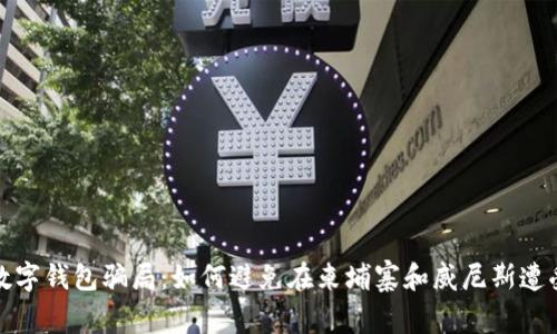 揭露数字钱包骗局：如何避免在柬埔寨和威尼斯遭受损失
