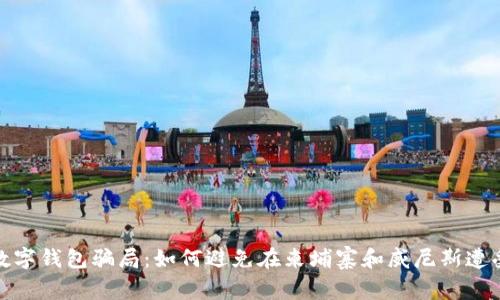 揭露数字钱包骗局：如何避免在柬埔寨和威尼斯遭受损失