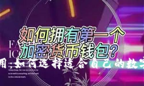 虚拟币钱包应用：如何选择适合自己的数字资产管理工具