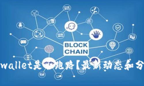 tpwallet是否跑路？最新动态和分析