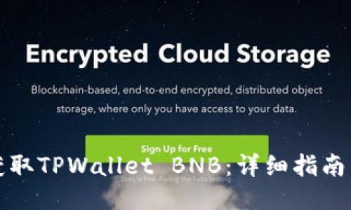 如何获取TPWallet BNB：详细指南与技巧