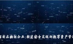 全面解析区块链企业：构建安全高效的数字资产